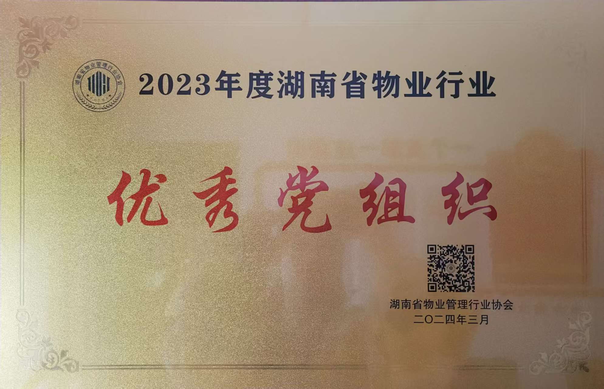 2023年度湖南省物业行业优秀党组织